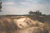 hiddensee-1.jpg (41519 Byte)