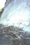 koenig8.jpg (76452 Byte)