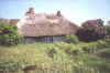 Ruegen2.jpg (69972 Byte)