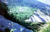 109.jpg (152209 Byte)