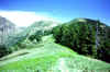 185.jpg (165412 Byte)