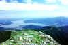 212.jpg (99805 Byte)