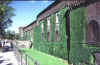 259.jpg (200211 Byte)